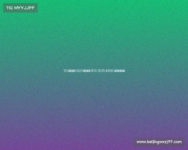 10 万级新能源 SUV 新宠？零跑 B10 2025 款 600 悦享版深度测评
